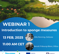 SpongeScapes Webinar – Introduction to sponge measures