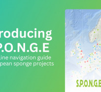 Introducing S.P.O.N.G.E – the online navigation guide for European sponge projects