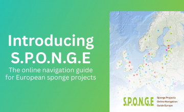 Introducing S.P.O.N.G.E – the online navigation guide for European sponge projects