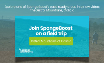 Explore one of SpongeBoost's case study areas in a new video: The Xistral Mountains, Galicia