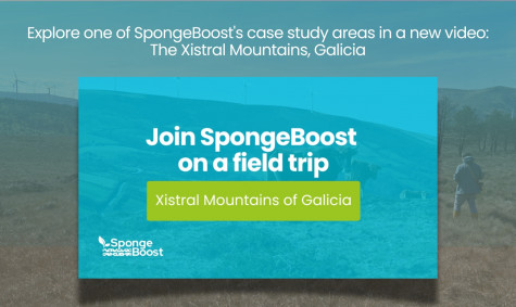 Explore one of SpongeBoost's case study areas in a new video: The Xistral Mountains, Galicia