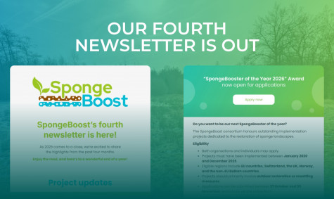 The fourth SpongeBoost newsletter is out now
