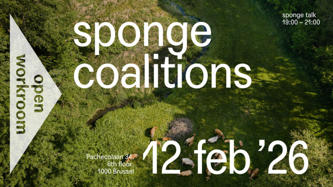 SPONGE TALK – Sponge Coalitions