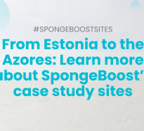 From Estonia to the Azores: Learn more about SpongeBoost’s case study sites