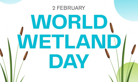 Celebrating World Wetlands Day