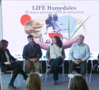 CIREF participates in roundtable at launch of Europe’s largest LIFE wetlands project