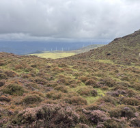 Terras do Miño–Serra do Xistral joins the Global Flagship Landscape network