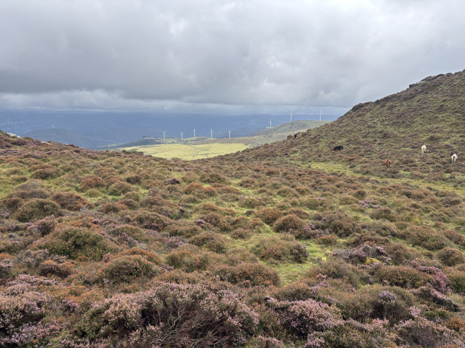 Terras do Miño–Serra do Xistral joins the Global Flagship Landscape network