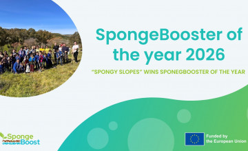 Community-driven restoration in Spain recognised as best-practice example