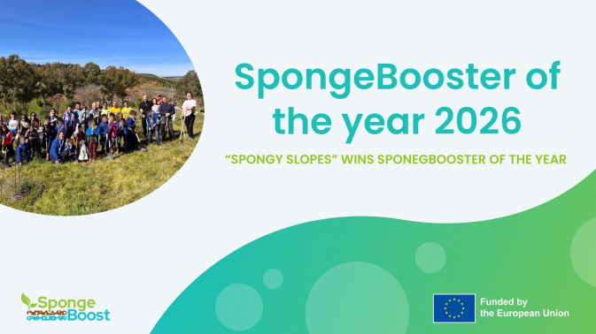 Community-driven restoration in Spain recognised as best-practice example