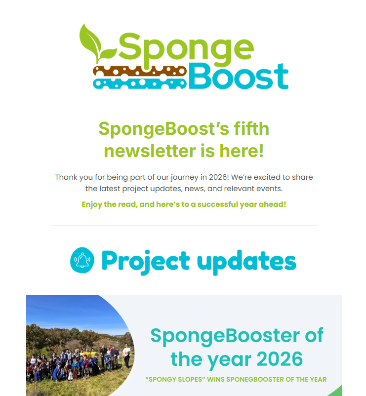 SpongeBoost Newsletter, February 2026 newsletter cover
