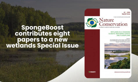 SpongeBoost contributes eight papers to a new wetlands Special Issue
