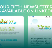 The new edition of SpongeBoost's newsletter is available on LinkedIn