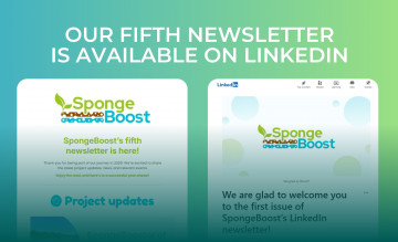 The new edition of SpongeBoost's newsletter is available on LinkedIn