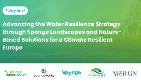 New press release: Policy brief on nature-based solutions published in collaboration between five EU-funded projects