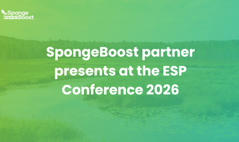 SpongeBoost partner presents wetland restoration practices at the ESP Conference 2026