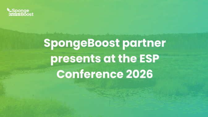 SpongeBoost partner presents wetland restoration practices at the ESP Conference 2026