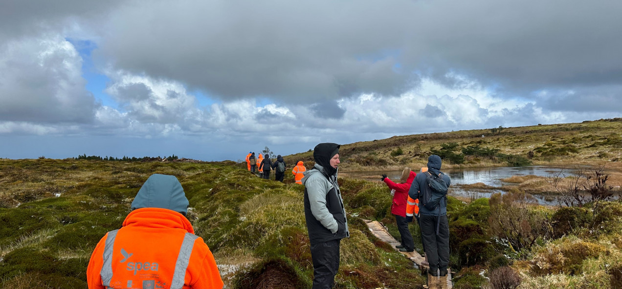 Graminhais Plateau
