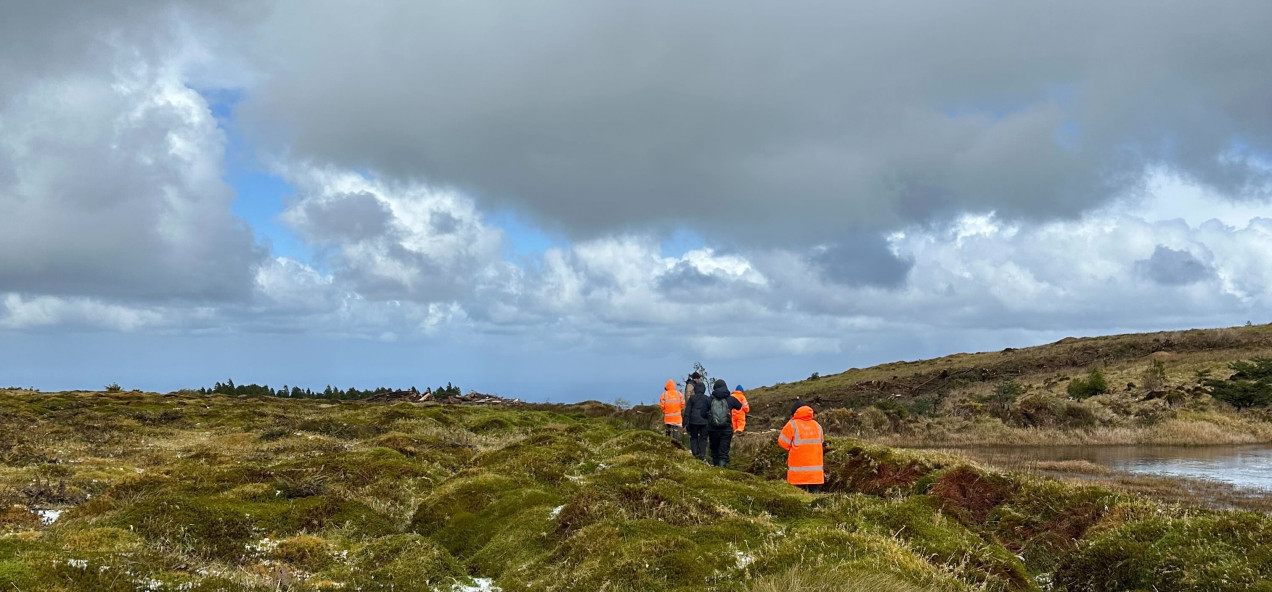 Graminhais Plateau