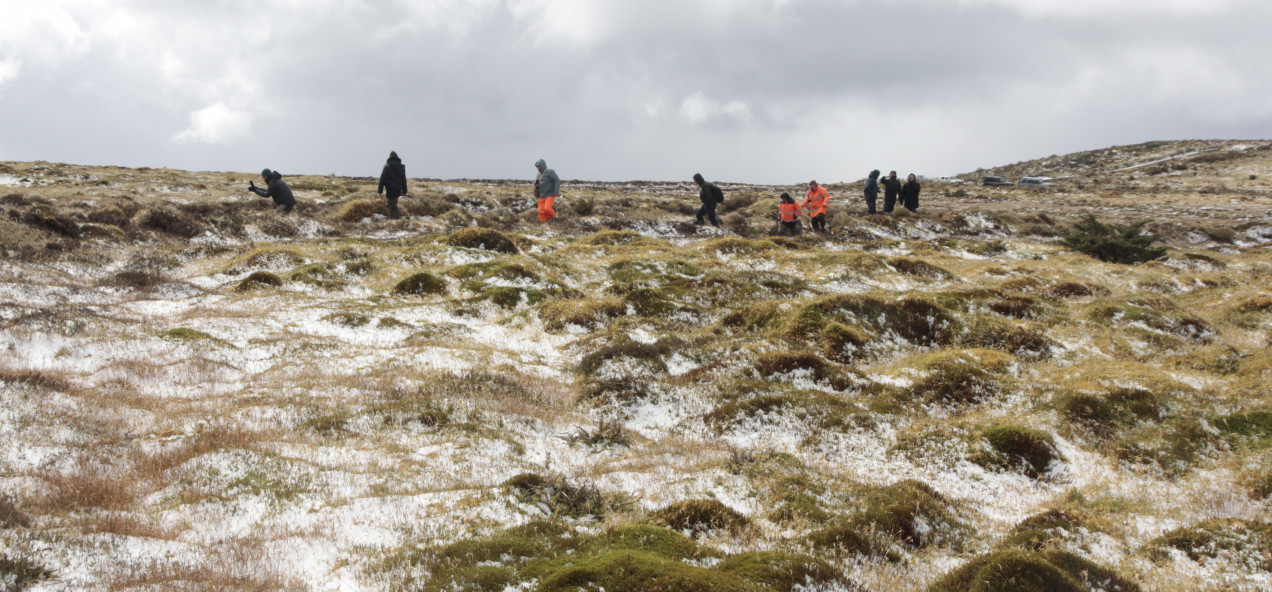 Graminhais Plateau