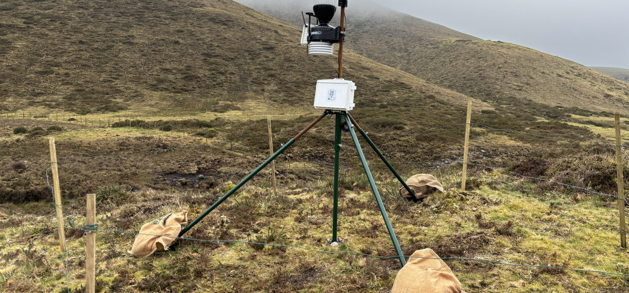 Serra do Xistral Peatlands
