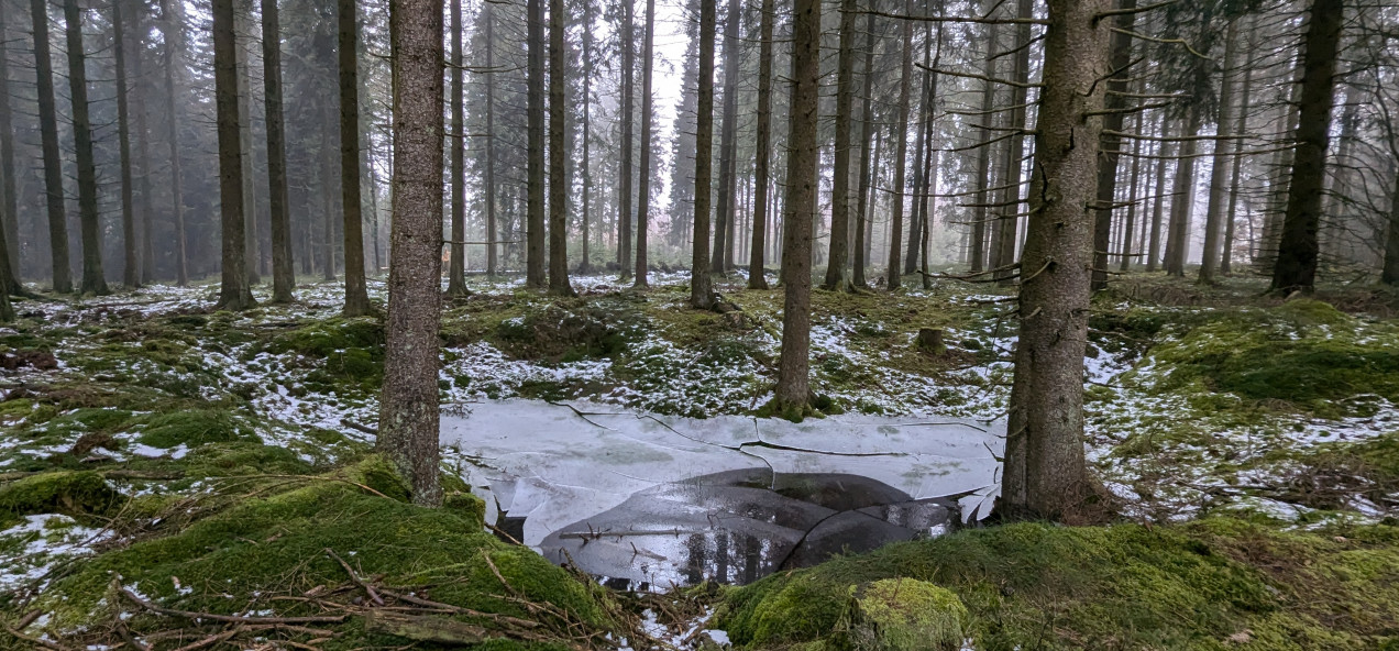 Schneifel