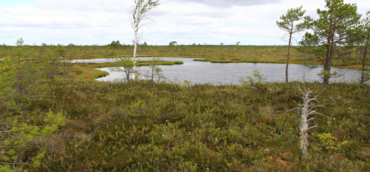 Pärnu Catchment