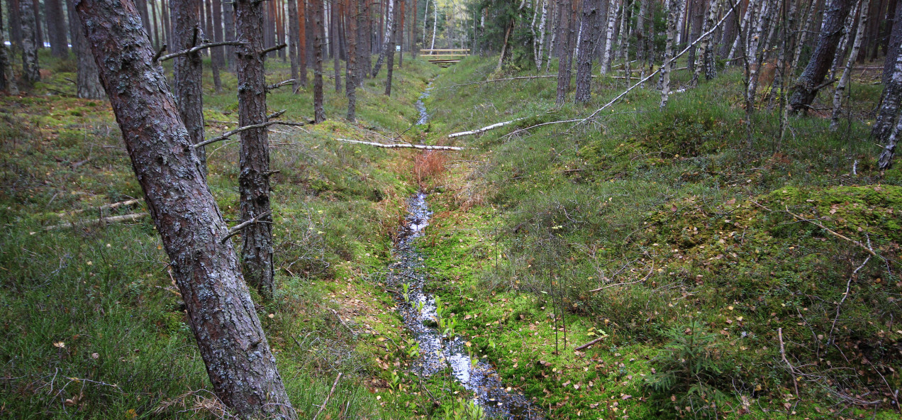 Pärnu Catchment