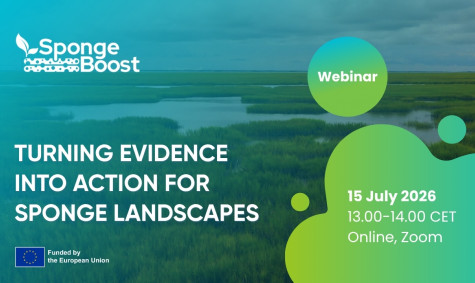 Upcoming SpongeBoost webinar: Turning evidence into action for sponge landscapes