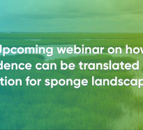 Upcoming webinar on how evidence can be translated into action for sponge landscapes