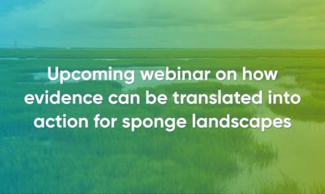 Upcoming webinar on how evidence can be translated into action for sponge landscapes