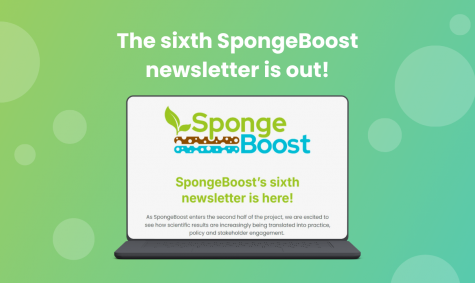 Our sixth newsletter is now out!