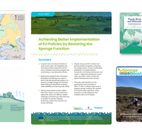 Turning evidence into action: Access the first SpongeBoost webinar recording and materials