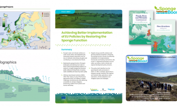 Turning evidence into action: Access the first SpongeBoost webinar recording and materials