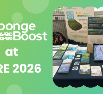 SpongeBoost at SERE2026