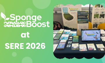 SpongeBoost at SERE2026