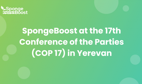 SpongeBoost at the 17th Conference of the Parties (COP 17) in Yerevan