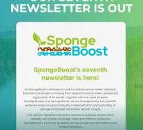 SpongeBoost’s seventh newsletter is here!