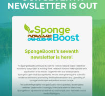 SpongeBoost’s seventh newsletter is here!