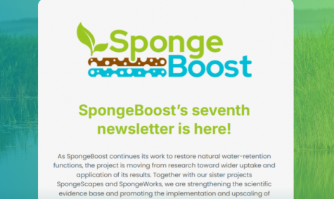 SpongeBoost’s seventh newsletter is here!