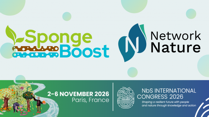 SpongeBoost at NetworkNature Week 2026
